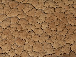 Sécheresse : les fortes chaleurs ont fragilisé les cours d'eau, de nouvelles restrictions mises en places en Aveyron dès le 23 août