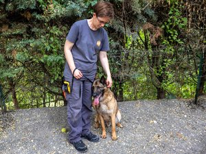 "Les adoptions ne sont pas réfléchies et l'encadrement reste insuffisant en France" : la SPA de Millau s'inquiète face à la hausse des abandons et la chute des adoptions