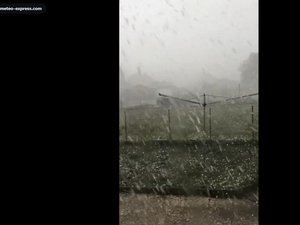 VIDÉOS. Météo : pluies intenses et gros grêlons : une femme tuée par la chute d'un arbre dans sa voiture dans la Nièvre, un violent orage frappe la Saône-et-Loire