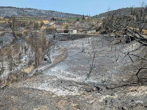 Incendie géant dans l'Aude : à peine le feu éteint, 2 000 teufeurs rallume le son dans les cendres pour une rave party illégale