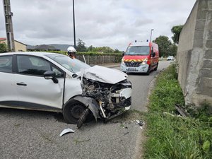 Une guêpe sème la panique dans la voiture : le conducteur perd le contrôle et fonce dans le mur