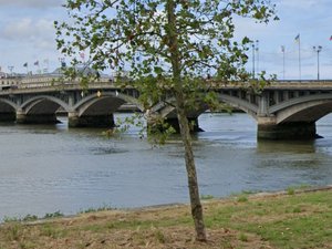 Blocages du 10 septembre : une manifestante chute d'un pont après un tir de gaz lacrymogène, un policier se jette à l'eau pour la sauver