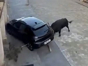 La vidéo du jour : un taureau aide une voiture à mieux se garer, la Peugeot 208 oubliée en pleine fête votive se fait massacrer