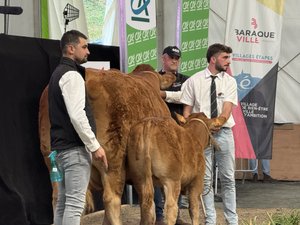 Concours national limousinde Baraqueville : 