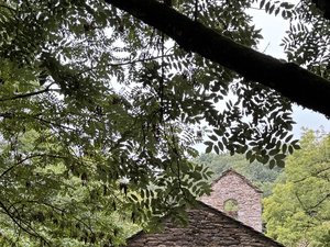 Les Journées du patrimoine en Aveyron entre secrets d'histoire et visites insolites