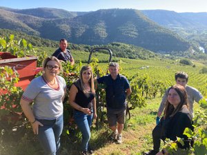 Vendanges des Côtes de Millau : 