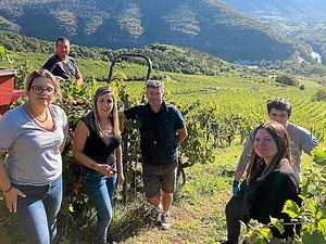 "Nous misons sur la qualité pour compenser la baisse des volumes" : les vendanges en Côtes de Millau, entre espoirs et transmission
