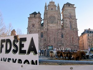 Colère des agriculteurs : rassemblements sur les autoroutes et les ronds-points, actions dans les grandes surfaces... À quoi s'attendre ce vendredi ?