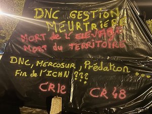 Agriculture : les membres de la CR bâchent le taureau de Laguiole pour protester contre la gestion 