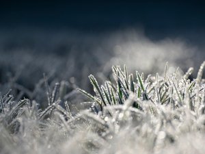MÉTÉO. Première gelée en Aveyron : - 1,3 °C enregistré sur le Larzac, 