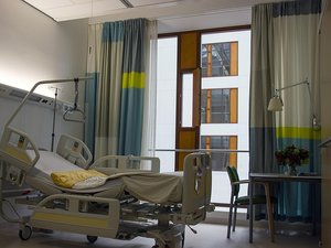 Un jeune homme meurt de la rage en Occitanie : probable morsure de chien, voyage au Maghreb... Ce que l'on sait de cette infection rarissime en France
