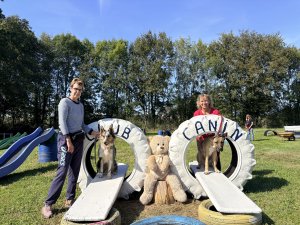 "Ils nous lisent très bien mais nous avons du mal à les comprendre" : dans cette commune de l'Aveyron, Sylvie Andrieux renforce la complicité entre le chien et son maître