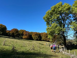 1 200 randonneurs réunis en Aveyron pour goûter à la Davalada, la rando gourmande sur l'Aubrac