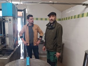 "Nous voulons fédérer tous les apiculteurs" : une association pour sanctuariser l'abeille noire en Aveyron