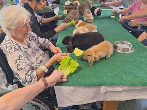 Médiation animale : six années de succès dans cet Ehpad de l'Aveyron
