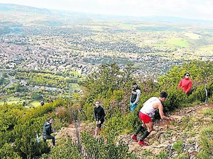 Course à pied : le Festival des Templiers, trente ans d'aventure et d'authenticité, 13 000 coureurs attendus, 40 000 spectateurs et 1 200 bénévoles sur le pont