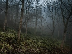 "Quand je suis rentrée, il n'était plus là" : quatre jours après la disparition d'un enfant de 8 ans malade, un corps retrouvé en forêt
