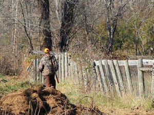 La battue aux sangliers vire au drame : un homme tué par le tir d'un chasseur de 83 ans