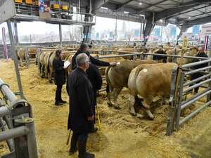 "Au-delà des éleveurs, c'est toute une filière, la ruralité qui est touchée" : l'Aveyron en alerte face à l'interdiction d'export pour freiner la dermatose nodulaire contagieuse