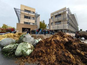 Dermatose nodulaire contagieuse : les tracteurs sont de retour à Rodez, une centaine d'agriculteurs de la Coordination rurale manifestent