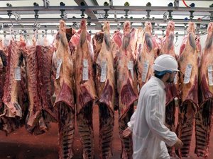 "S'il n'y avait plus d'abattoirs, nos éleveurs devraient aller on ne sait où" : ces abattoirs de l'Aveyron deviennent communautaires pour survivre
