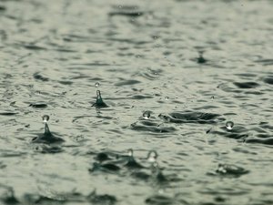 Tempête Benjamin : double vigilance jaune en Aveyron ce jeudi, vent et pluie au programme... ce que prévoit Météo-France