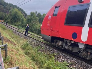 Mort d'une femme de 28 ans percutée par un TER, en Aveyron : ce que révèlent les premiers résultats de l'enquête