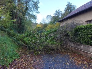 Dans l'ouest de l'Aveyron aussi, la tempête Benjamin a bien secoué les arbres