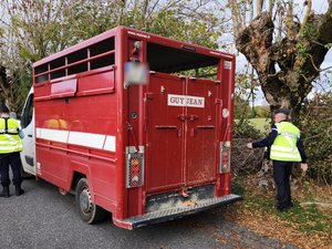 Dermatose nodulaire contagieuse : les gendarmes de l'Aveyron appelés à contrôler la circulation des bovins