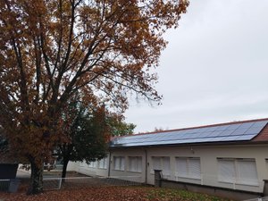 Les arbres font de l'ombre aux panneaux photovoltaïques : polémique dans cette école de l'Aveyron