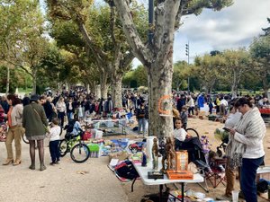 Un "Novemberfest" en Aveyron ? La foire de l'automne sera sous le signe de la bière ce week-end Millau