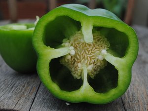 VIDÉO. Les deux camions frigorifiques ne transportaient pas que des poivrons verts, une saisie record en Espagne pour la police