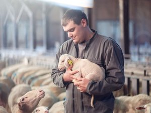 "Peut-être que je suis en train de voir la fin du brouillard" : dans L'Amour est dans le pré, Mathieu, l'éleveur aveyronnais de brebis, chamboulé par l'une de ses prétendantes