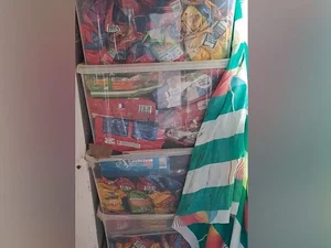 L'appartement de 45 m2 cachait 340 cadavres de chats : comble de l'horreur, la propriétaire aurait fait passer 1 500 chats chez elle depuis 2008...