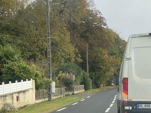 "Je l'ai ramené à son domicile" : le robot tondeuse prend la poudre d'escampette et se retrouve sur une route au milieu d'automobilistes