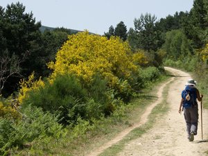 Il accueille une pèlerine dans son gîte sur le chemin de Saint-Jacques en Aveyron, elle lui fait vivre "un enfer" depuis 3 ans