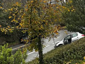 "Elle s'est retrouvée en équilibre" : la voiture de l'octogénaire dévale un talus avant d'être stoppée net par un panneau de signalisation