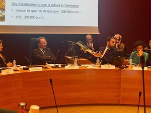 VIDÉO. "Honteux", "lamentable"... Pourquoi des poireaux ont-ils été apportés au beau milieu d'un conseil municipal à Rodez ?