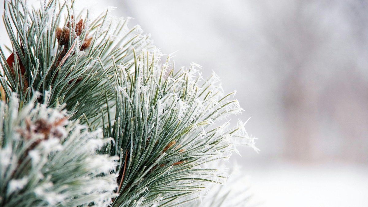 CARTE. Météo : neige-verglas, grand froid, avalanches… les vigilances touchent 82 départements, ce vendredi