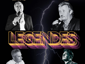 Michel Sardou, Charles Aznavour, Jean-Jacques Goldman et Johnny ensemble sur cette scène de l'Aveyron... ou presque