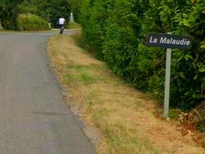 Le cycliste nonagénaire a été percuté trois fois de suite par trois véhicules différents, lequel des accidents lui a été fatal ?