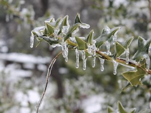 Météo : le froid s'est à nouveau attaqué à l'Aveyron, des pointes à -8°C enregistrées ce samedi matin dans le département