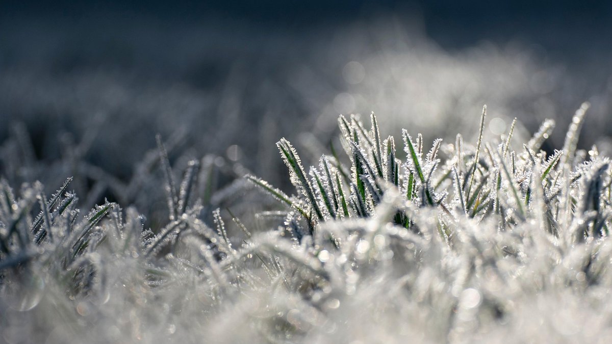 CARTES. Météo : nouvelles températures hivernales dans la nuit en Aveyron, avant la fin des vigilances dans le département