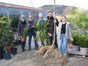 Chaque 25 novembre, la Sainte-Catherine met cette pépinière de l'Aveyron sur la brèche
