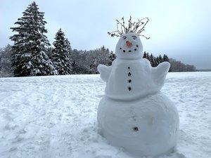Perdues dans la neige en raison du brouillard et de la nuit tombante, une maman et ses deux fillettes de 4 ans retrouvées saines et sauves