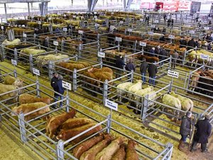 "L'Union européenne est encore trop naïve sur les questions agricoles" : l'Aveyron très attentif aux négociations autour de la prochaine PAC