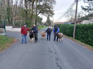 Les trois poneys voulaient prendre la poudre d'escampette, mais les gendarmes ont galopé plus vite qu'eux