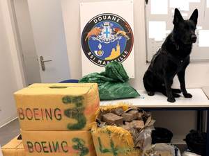 Comment les Restos du CSur ont bénéficié indirectement d'une saisie par les douaniers de 356 kilos de cocaïne et de cannabis