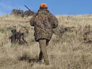 Son chien tombe dans un bassin, le chasseur saute dedans pour le sauver et meurt noyé, l'animal a survécu