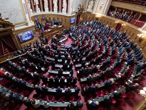 "En l'absence de budget, nous serions tous condamnés au pire" : une partie "recettes" adoptée par le Sénat... avec moins de fiscalité